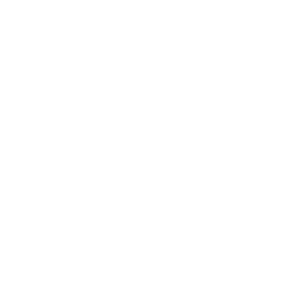 Logo Wit - Vincent Alkema Media